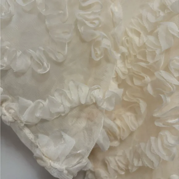 Cropped Ivory Cream Ruffle Blouse - Picture 4 of 4